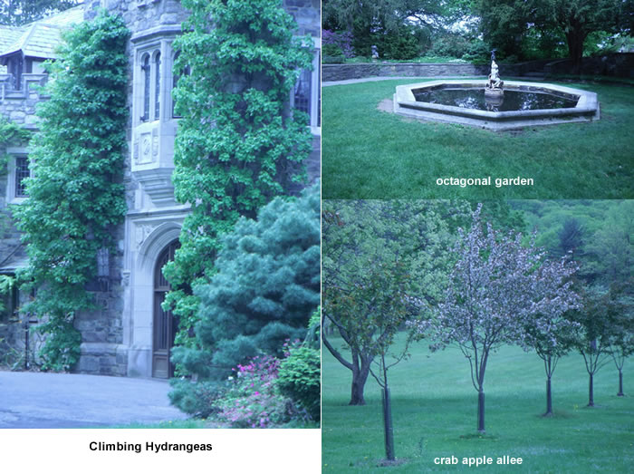 botanicalgardengrounds